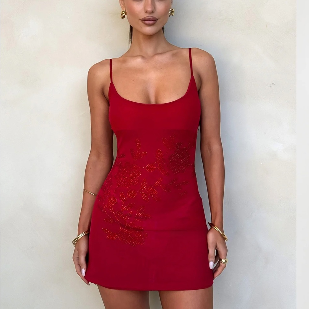 Tiger Mist Red Mini Dress